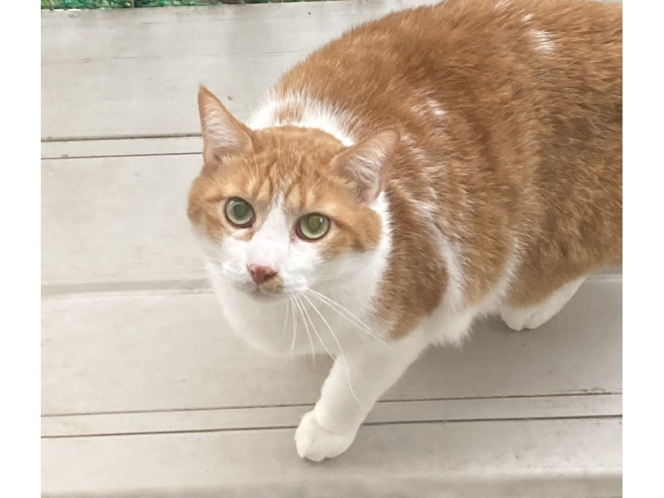 シャイだけど本当は甘えたい、みずたま君