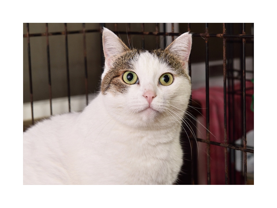 まりな嬢。甘えてくれた秘蔵っ子ちゃん。