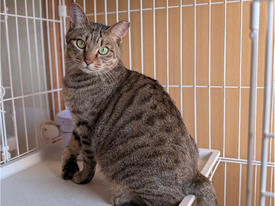 ハンディがあっても頑張っています