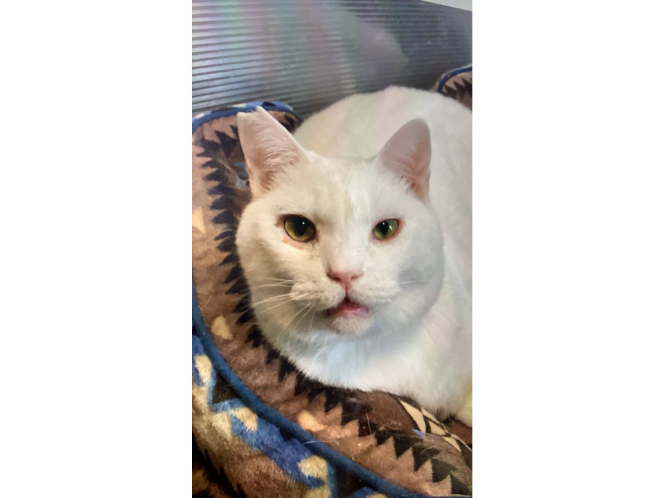 1/11堺市里親会★ヒロミくん