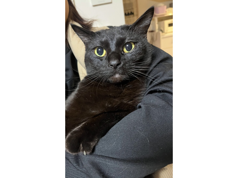 抱き心地最高❤️エマくん