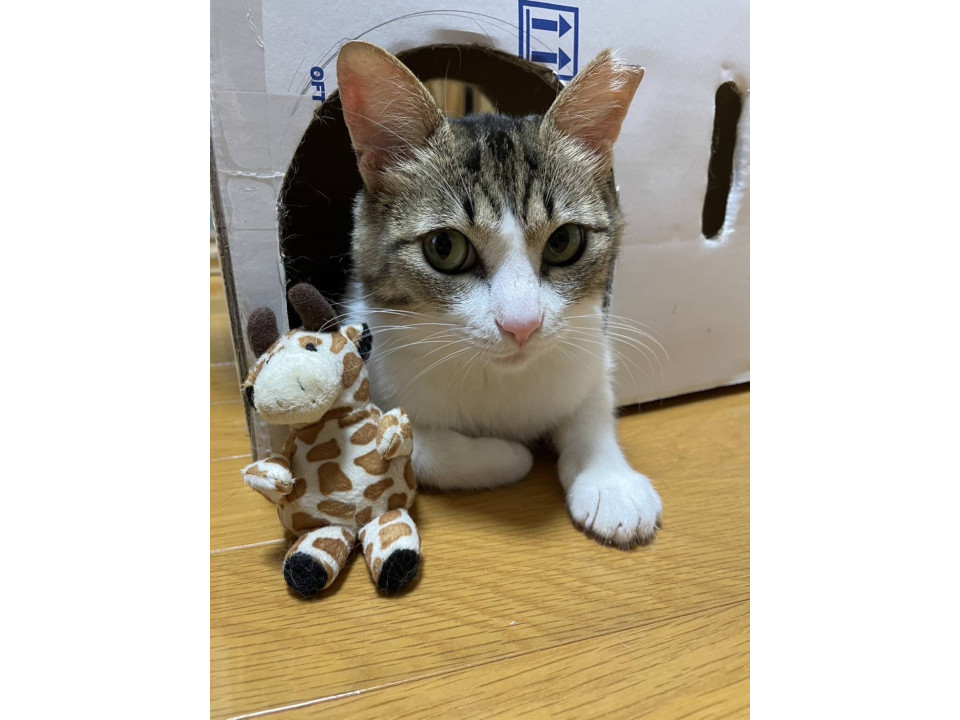 甘えんぼのめいちゃん