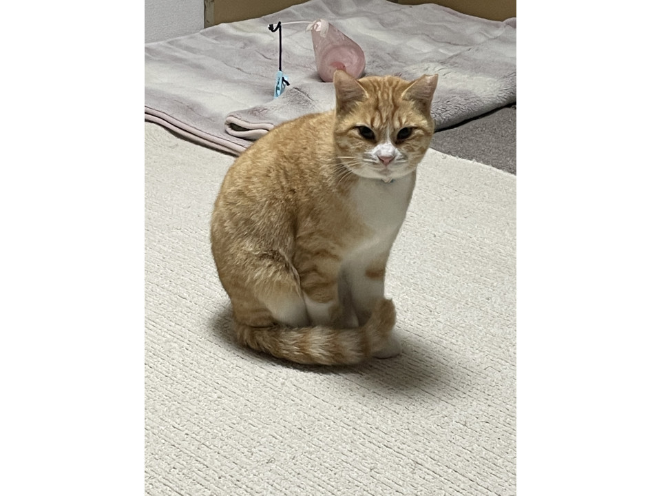 美人で優しい　柚ママ