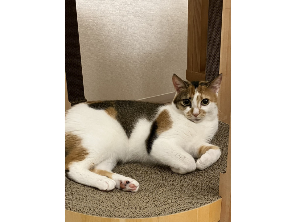 つぐみ☆1歳