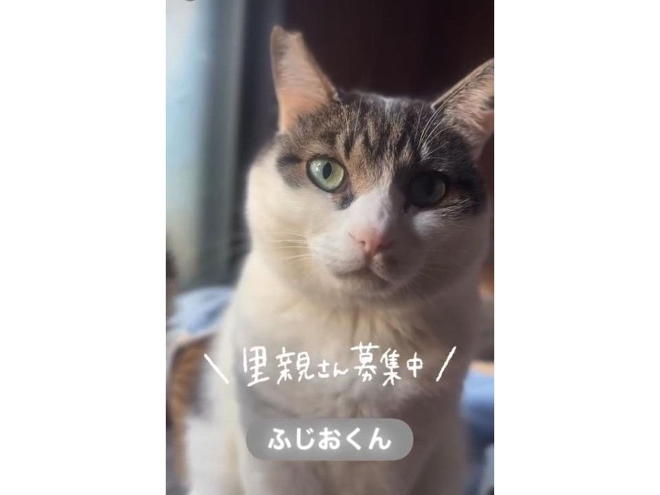 おっとりやさしい男の子♪ ふじおくん