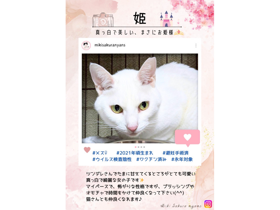 永年預かり対象