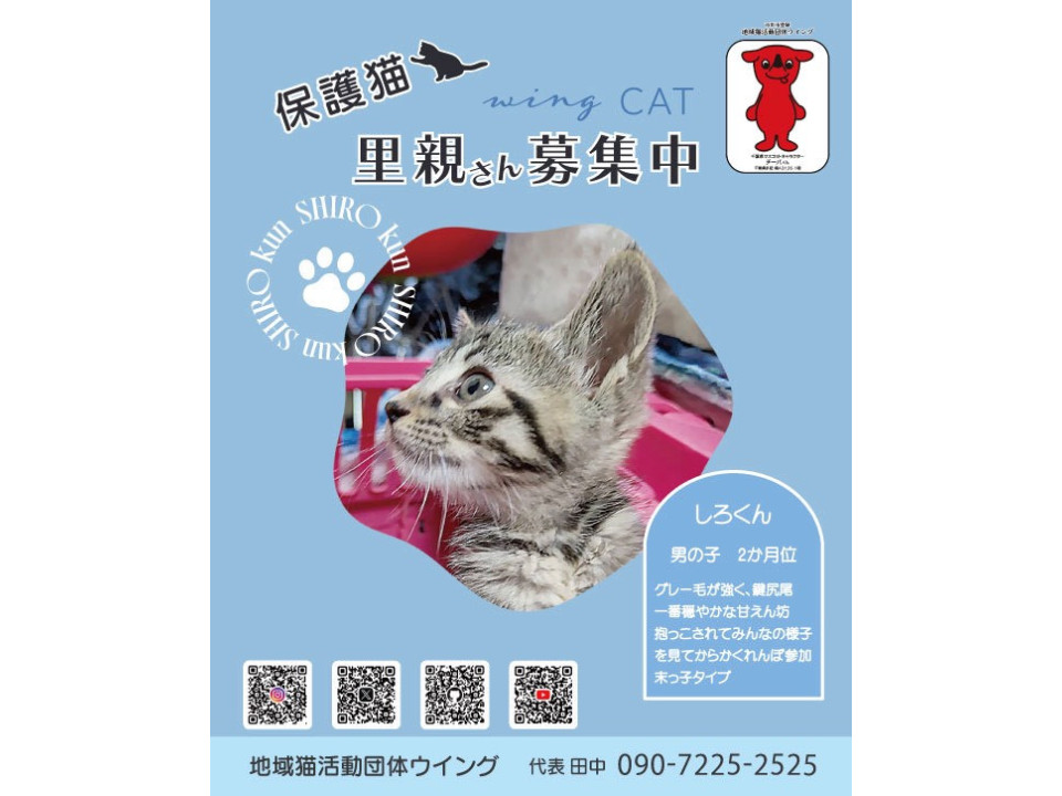 5/10地域猫活動団体ウイング譲渡会