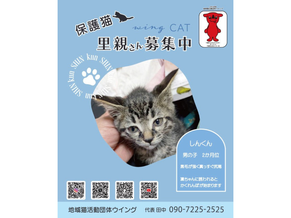 5/10地域猫活動団体ウイング譲渡会