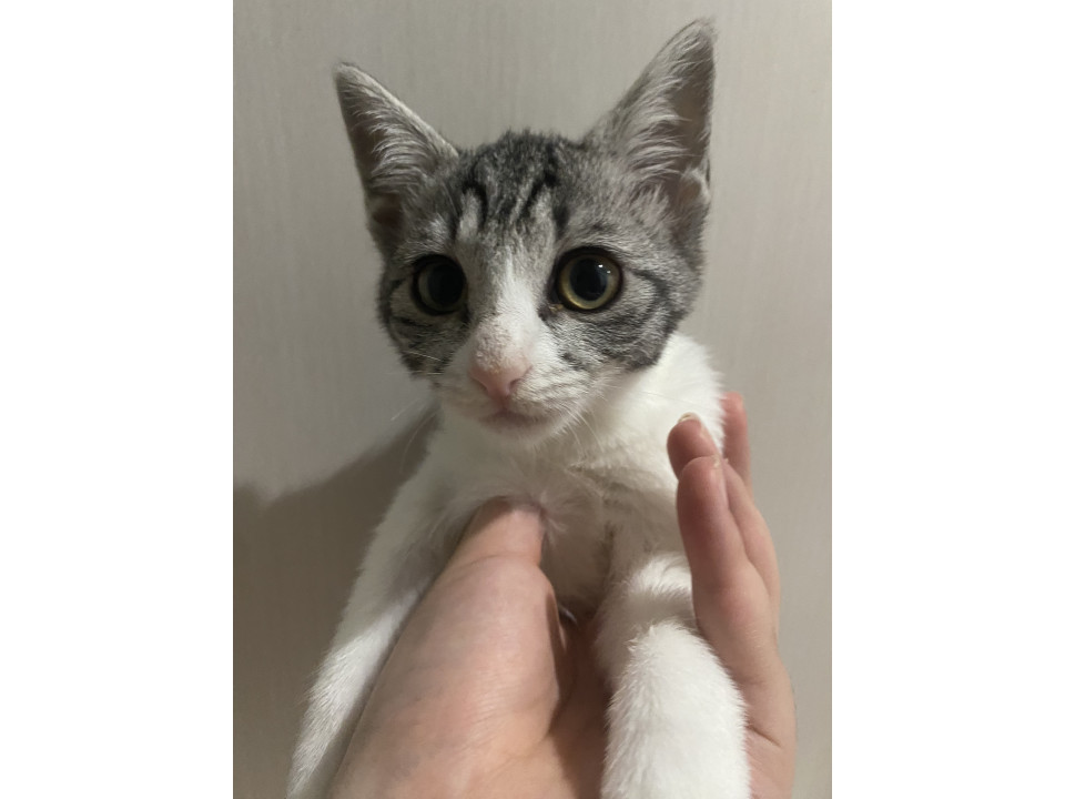 甘えん坊ちゃん