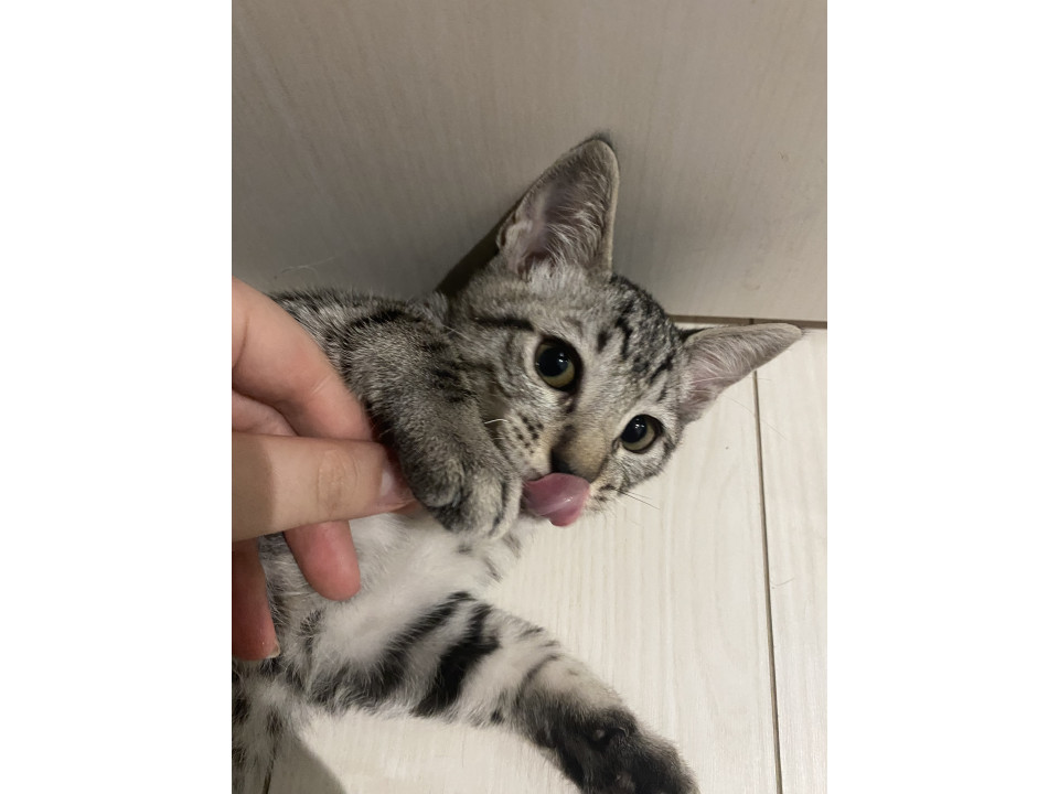 甘えん坊ちゃん