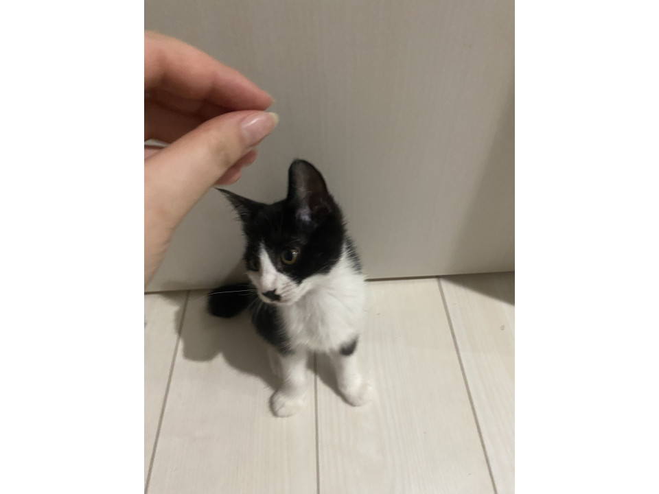 甘えん坊ちゃん