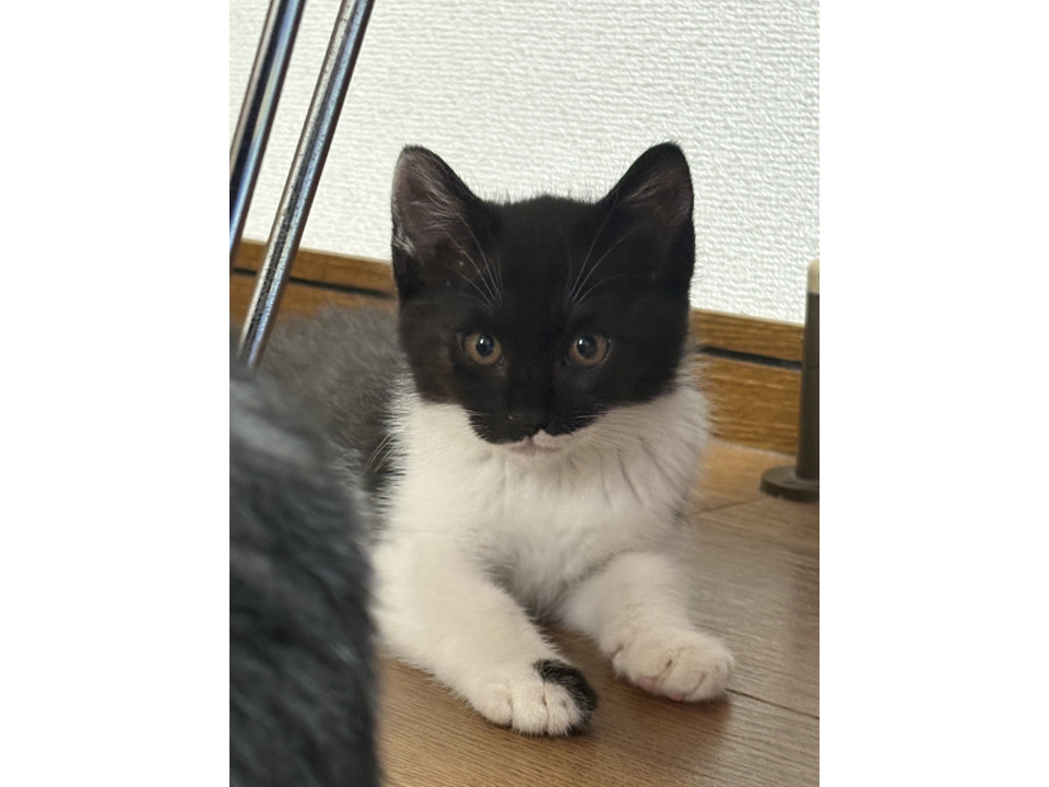よく遊びよく食べるよく寝る