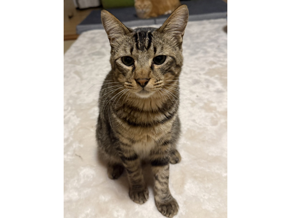 ビビりだけど甘えん坊くん♡