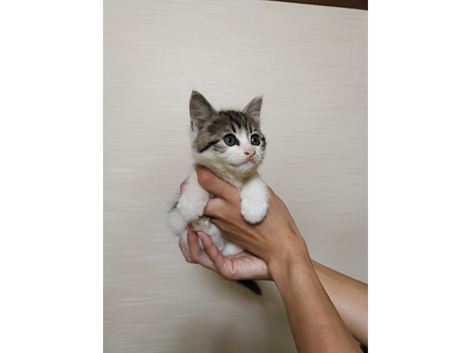 まん丸目をしたまつ君