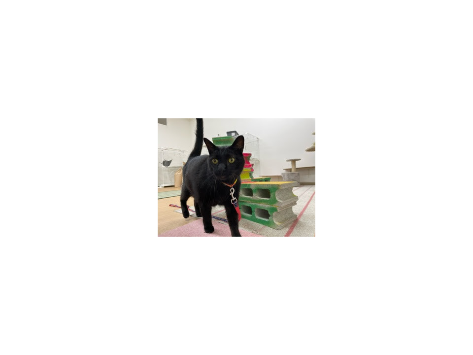 大きな甘えん坊さん
