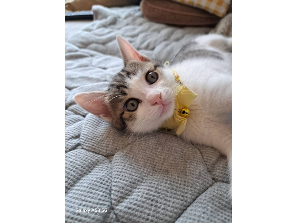 マイペースおっとり男の子
