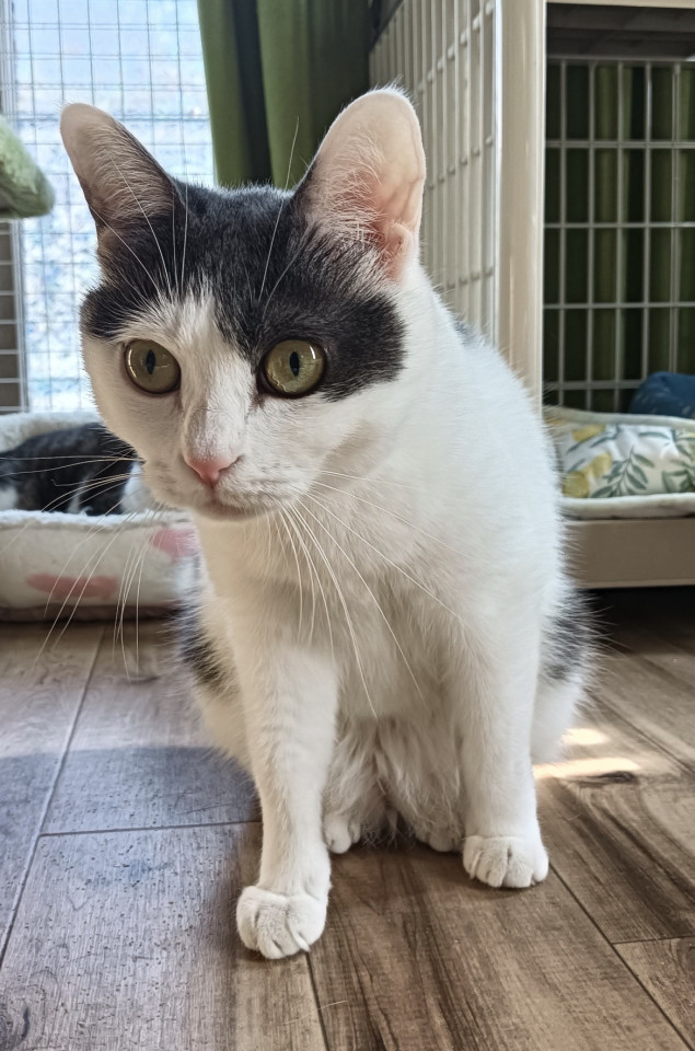 可愛さバツグンの甘えんぼさん♡ゆきよ