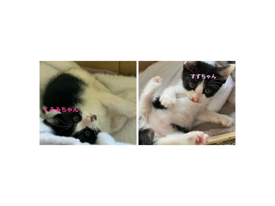 生後1カ月♡ヨチヨチ姉妹