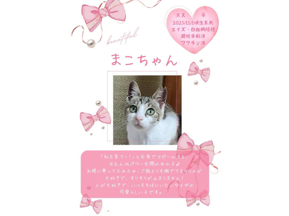 全力アピール