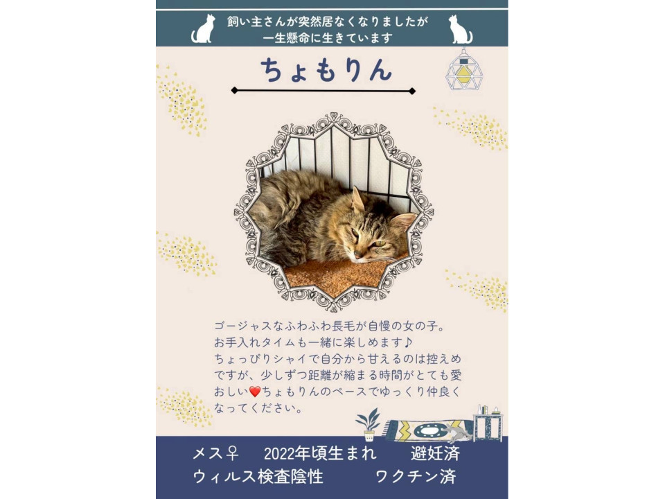 永年預かり対象