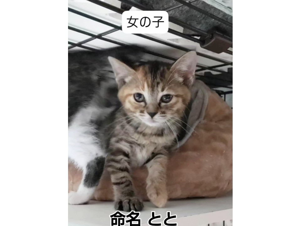 天使あらわる❤️