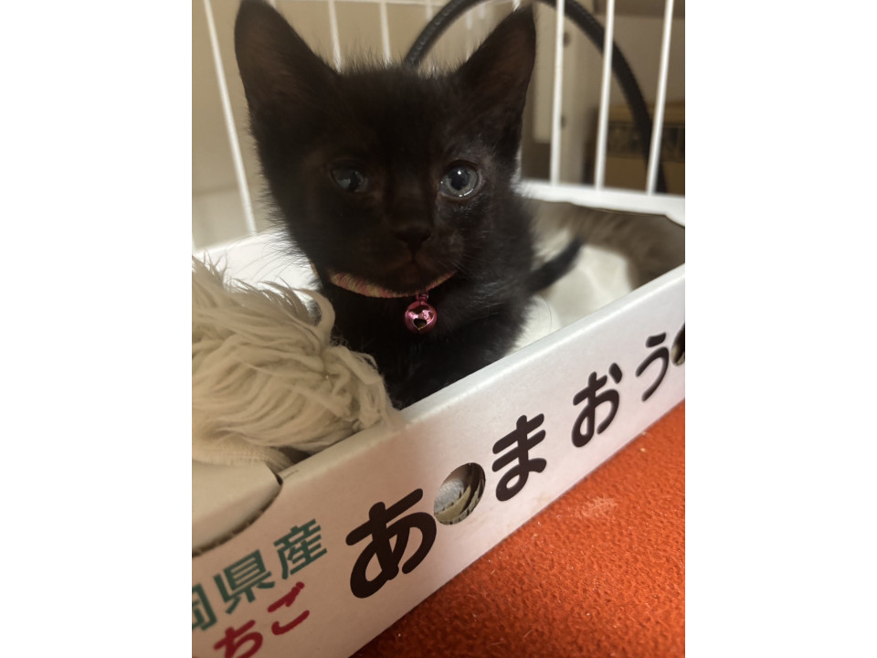 まりおくん