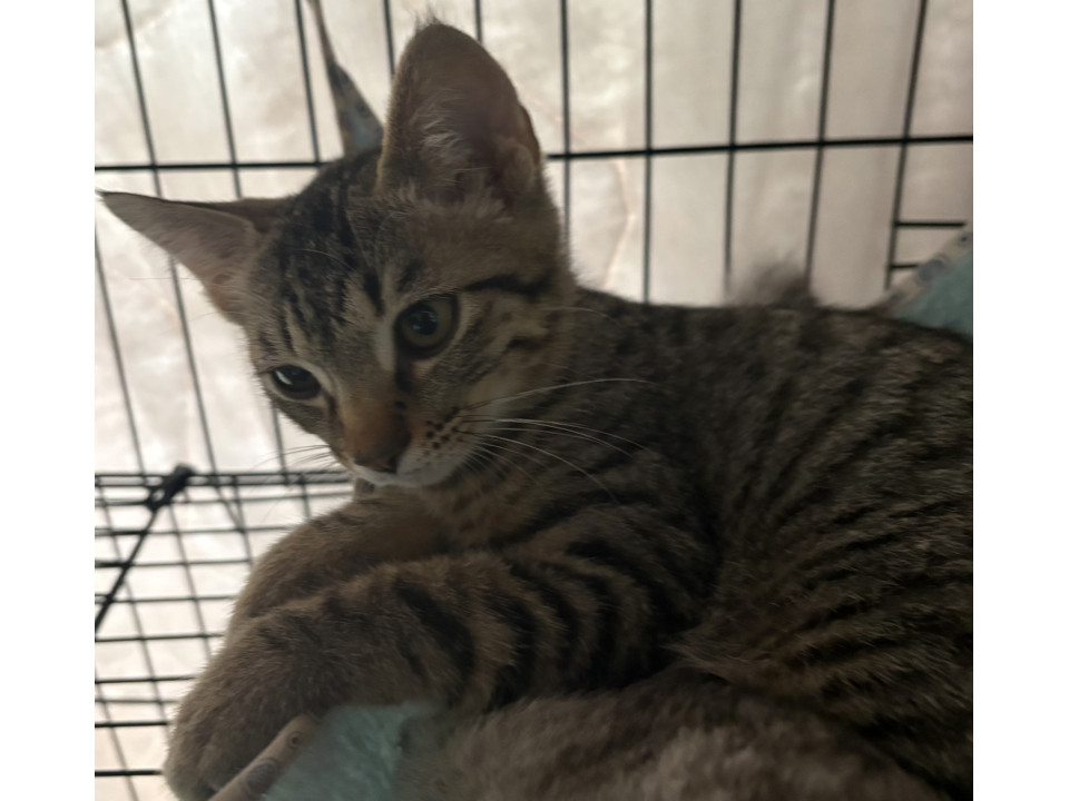 ちょっと控えめな男の子
