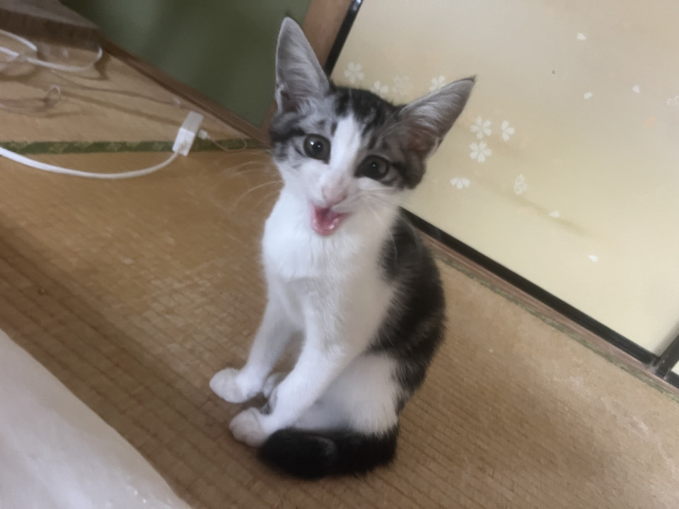 もうすぐ3ヶ月の男の子