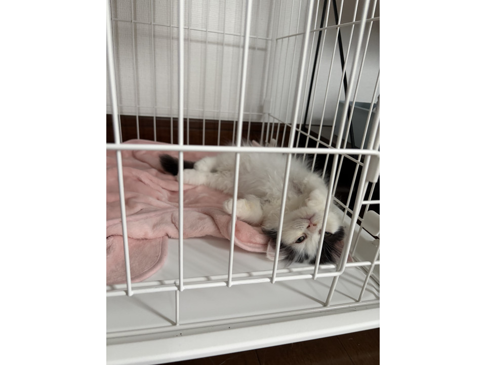 もうすぐ3ヶ月