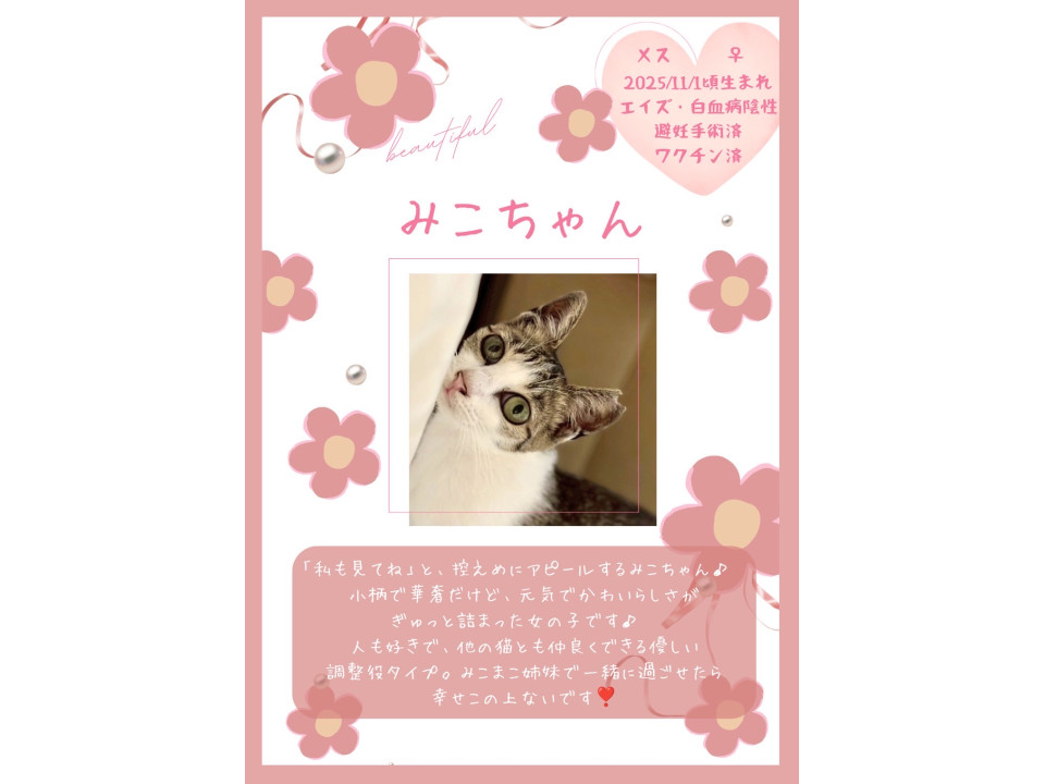 控えめアピール