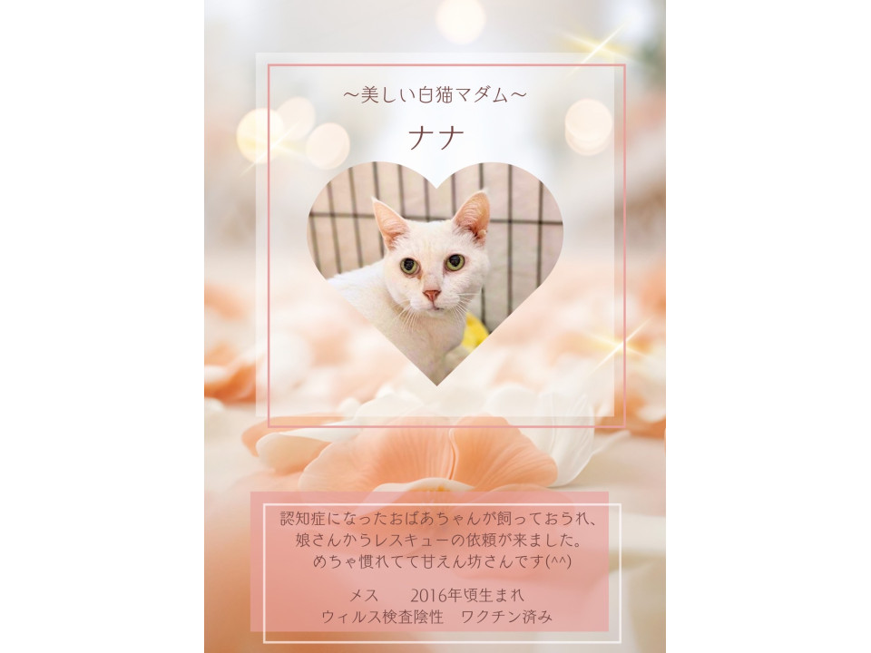 永年預かり対象