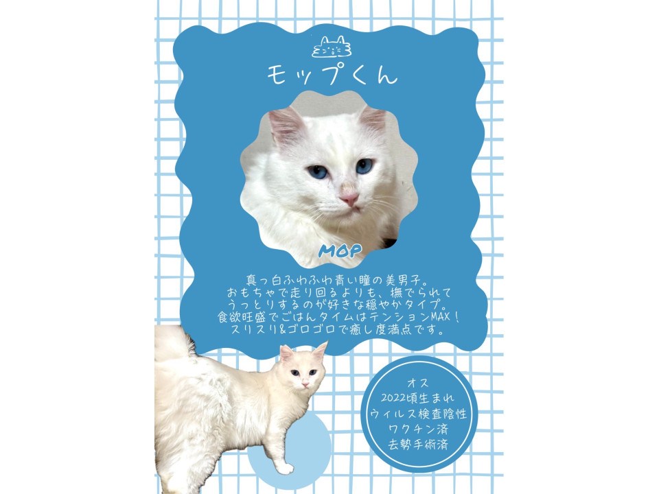 永年預かり対象