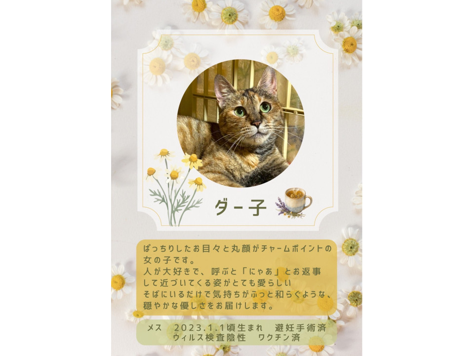 永年預かり対象