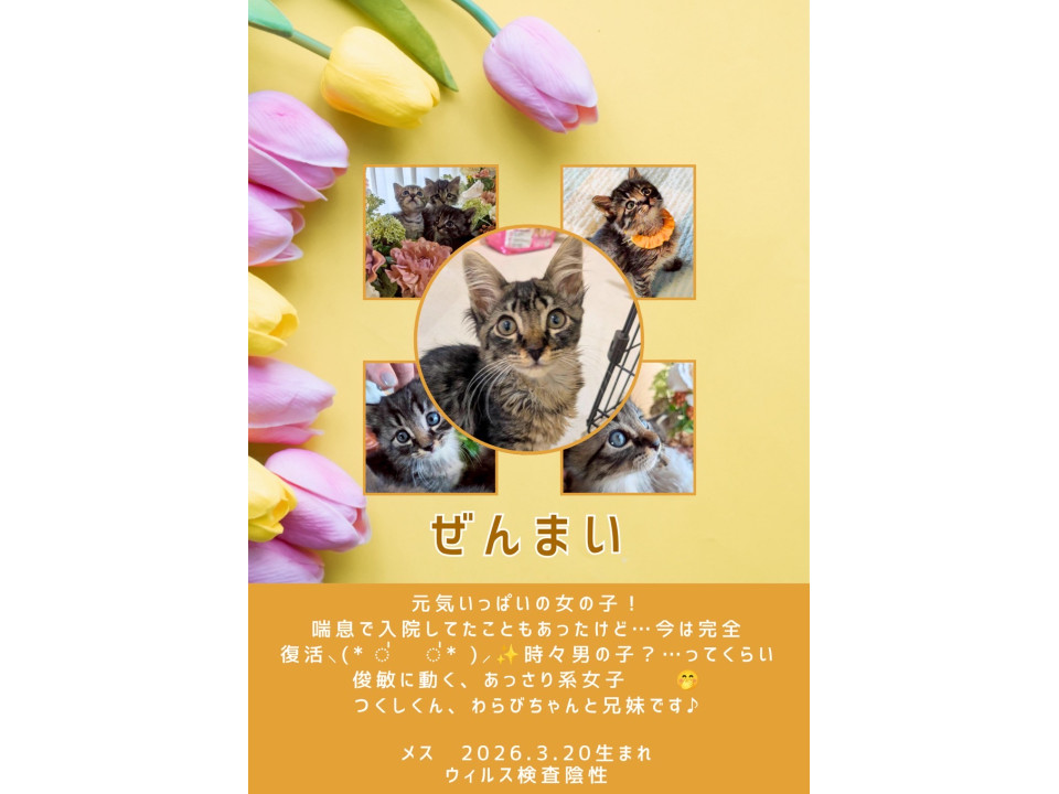 元気いっぱい！