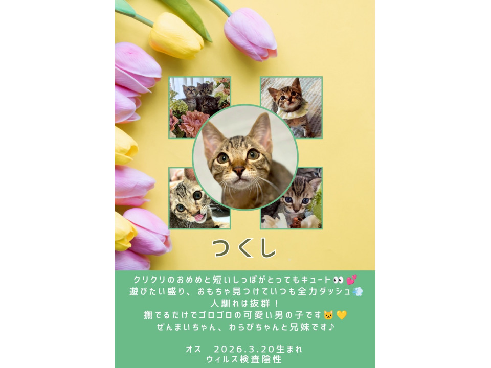 くりくりお目目