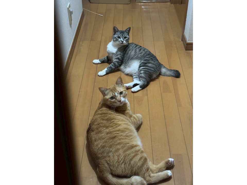 仲良し２匹