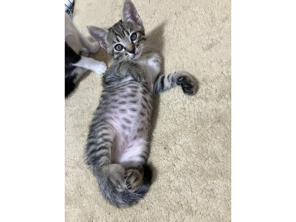 元気いっぱい✨人慣ればっちり