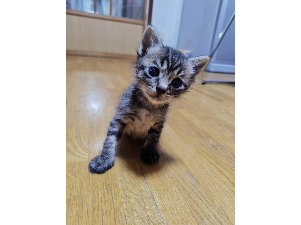 ミルクから育てたので警戒心０