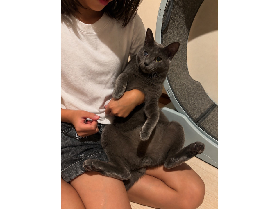 人大大大好きの甘えん坊のリュクス君♡
