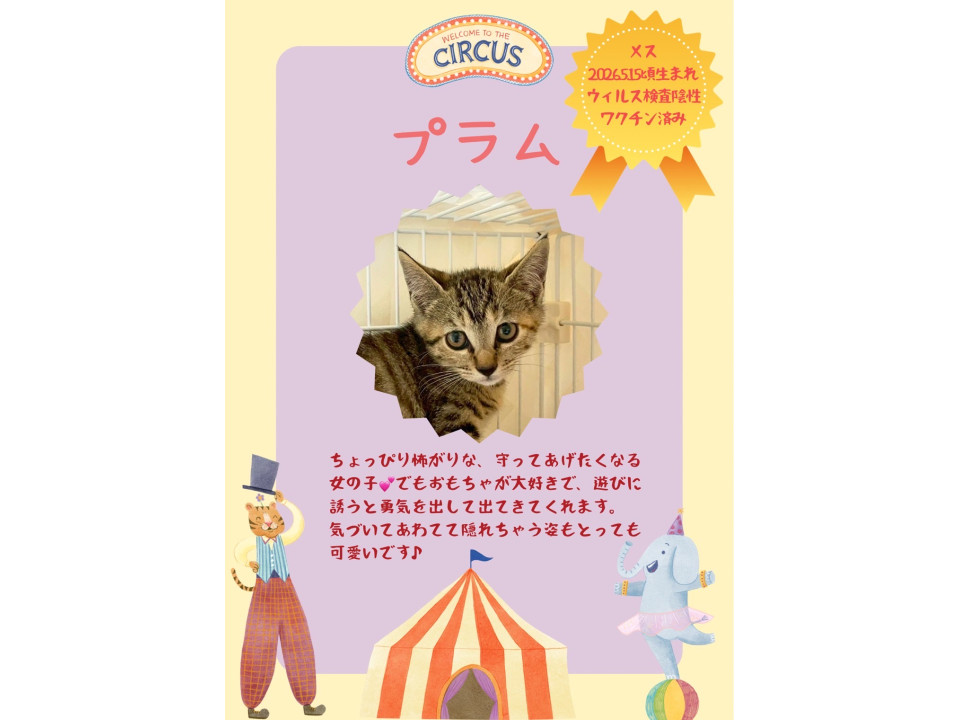 ちょっぴりびびりさん