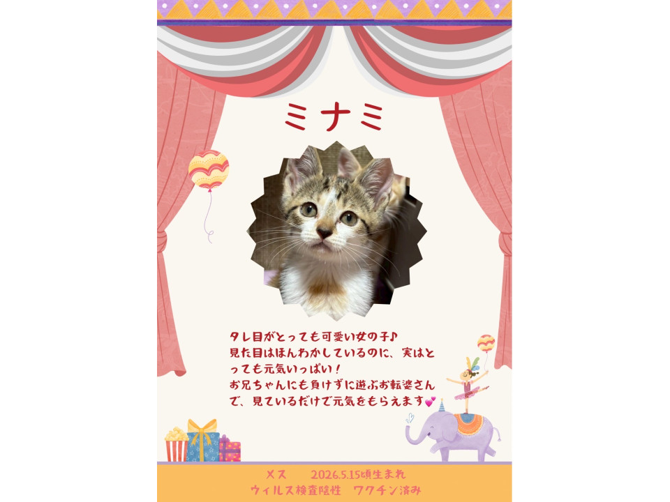 かわいいタレ目さん