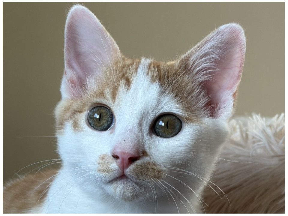 甘えん坊さんそらくん