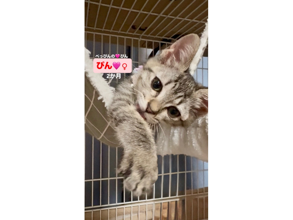べっぴんのピン❤️2か月