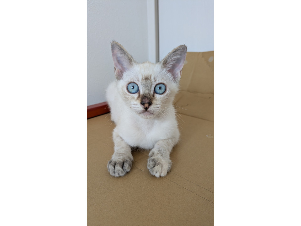 兄妹でビビリ?️でも甘えん坊の音ちゃん