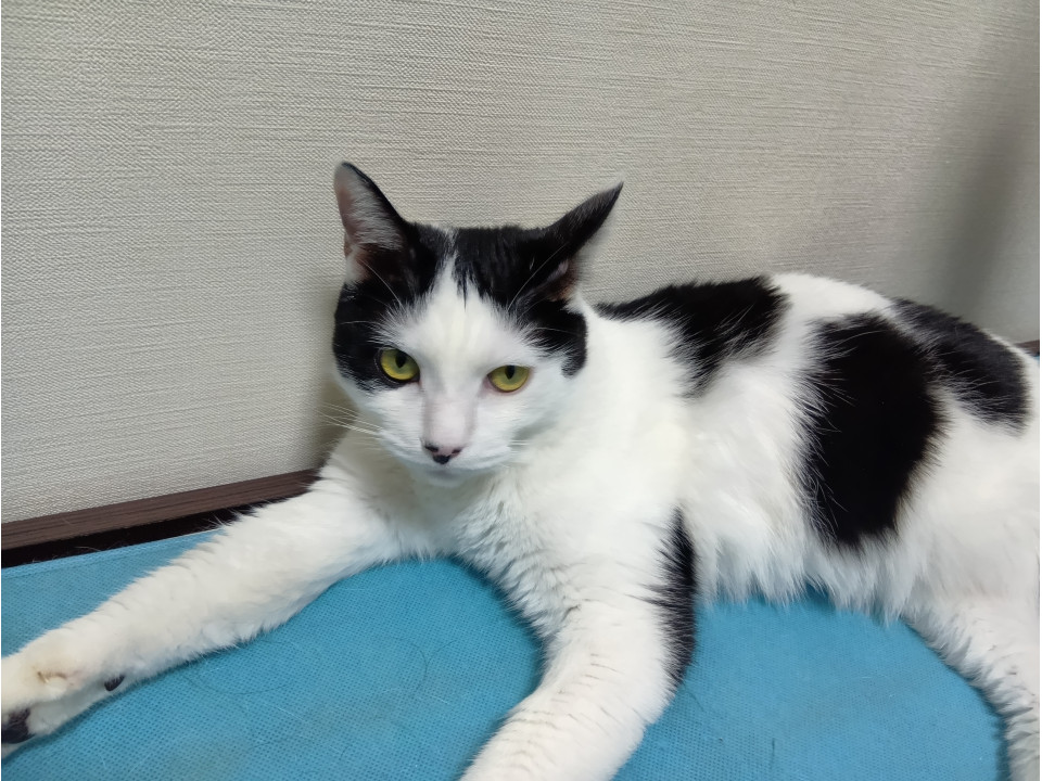 健康でイケメン