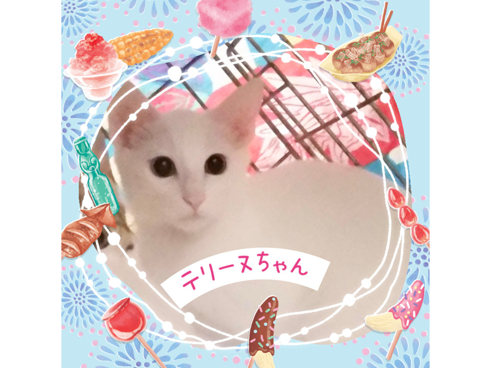 オッドアイの美猫ちゃん♡テリーヌちゃん