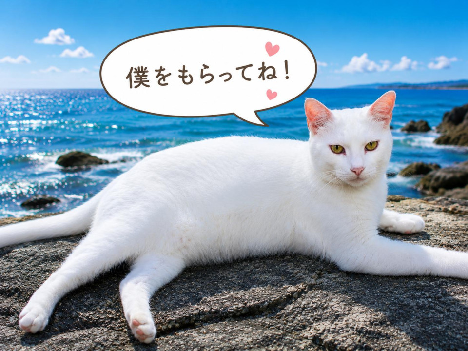 里親探してます。