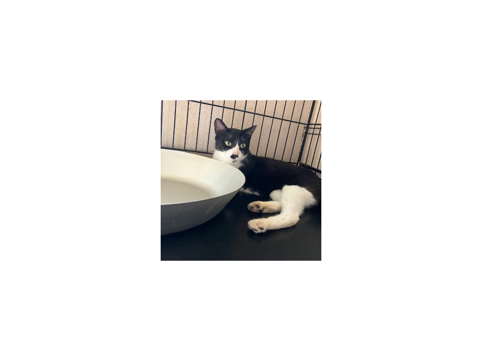 子育てに頑張ったパンちゃんに幸福を❣
