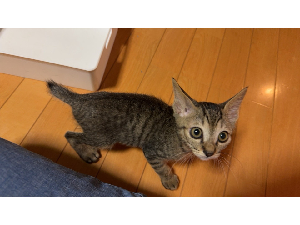 甘えん坊の末っ子赤ちゃん！