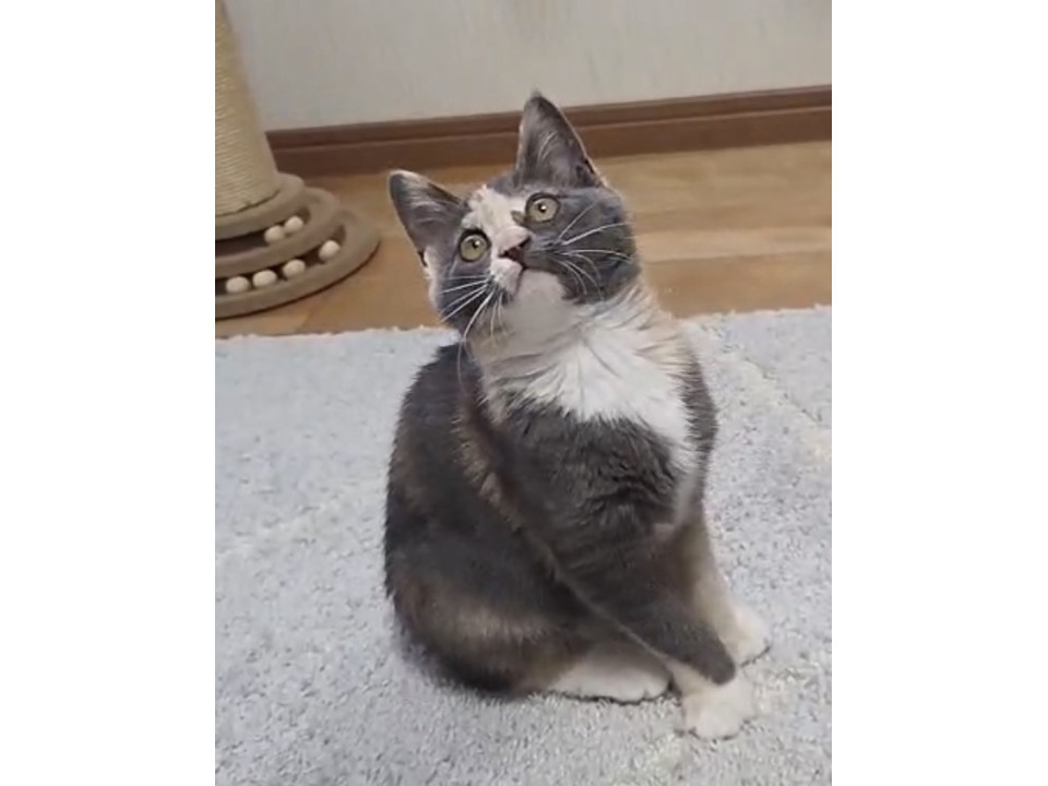 唯一無二の可愛い柄